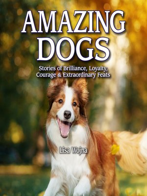 cover image of Amazing Dogs